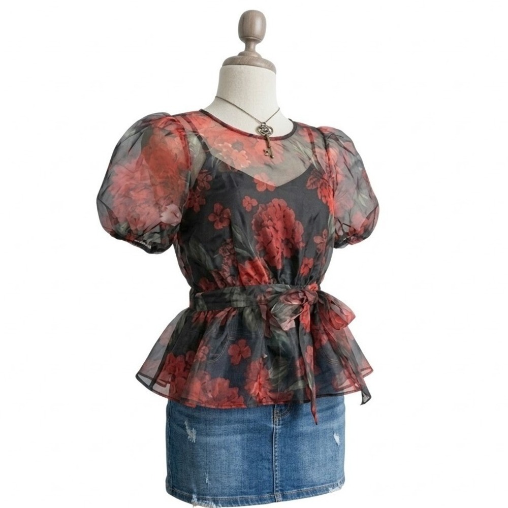 SMALL Organza Black Blouse Red Rose Puff Sleeve Sheer Romantic